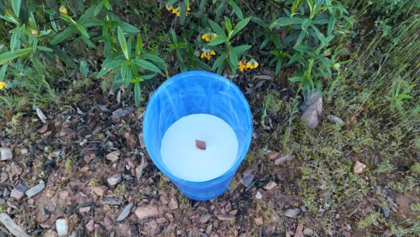 Vela de masaje profesional - Imagen 5