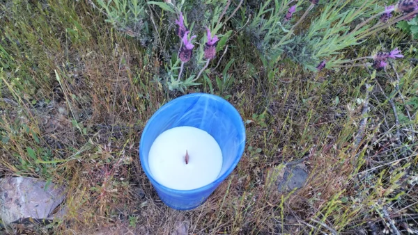 Vela de masaje profesional - Imagen 3