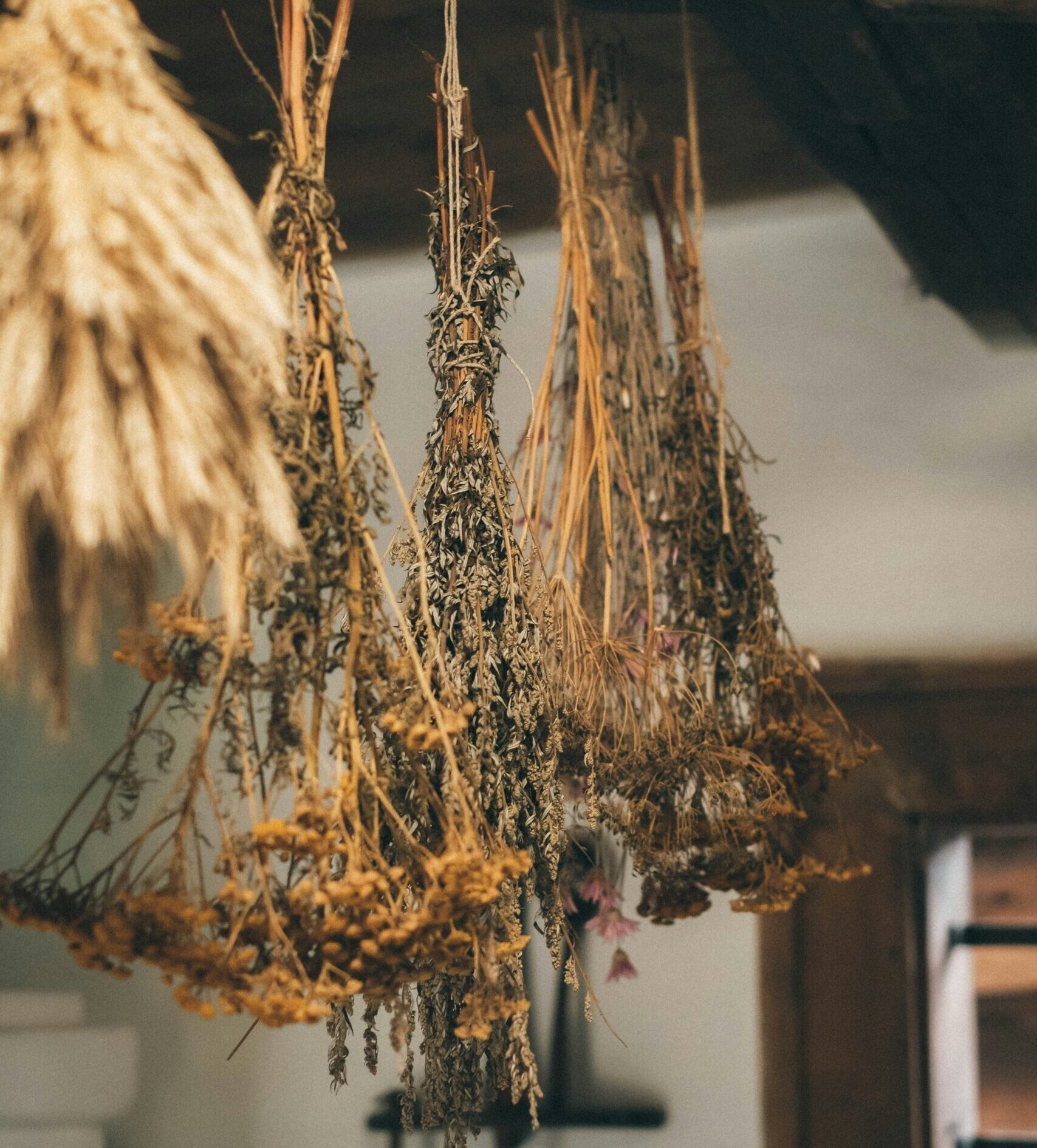 Preparados Herbales y sus Beneficios para la Salud: La Guía Definitiva de Con la Cara Lavada