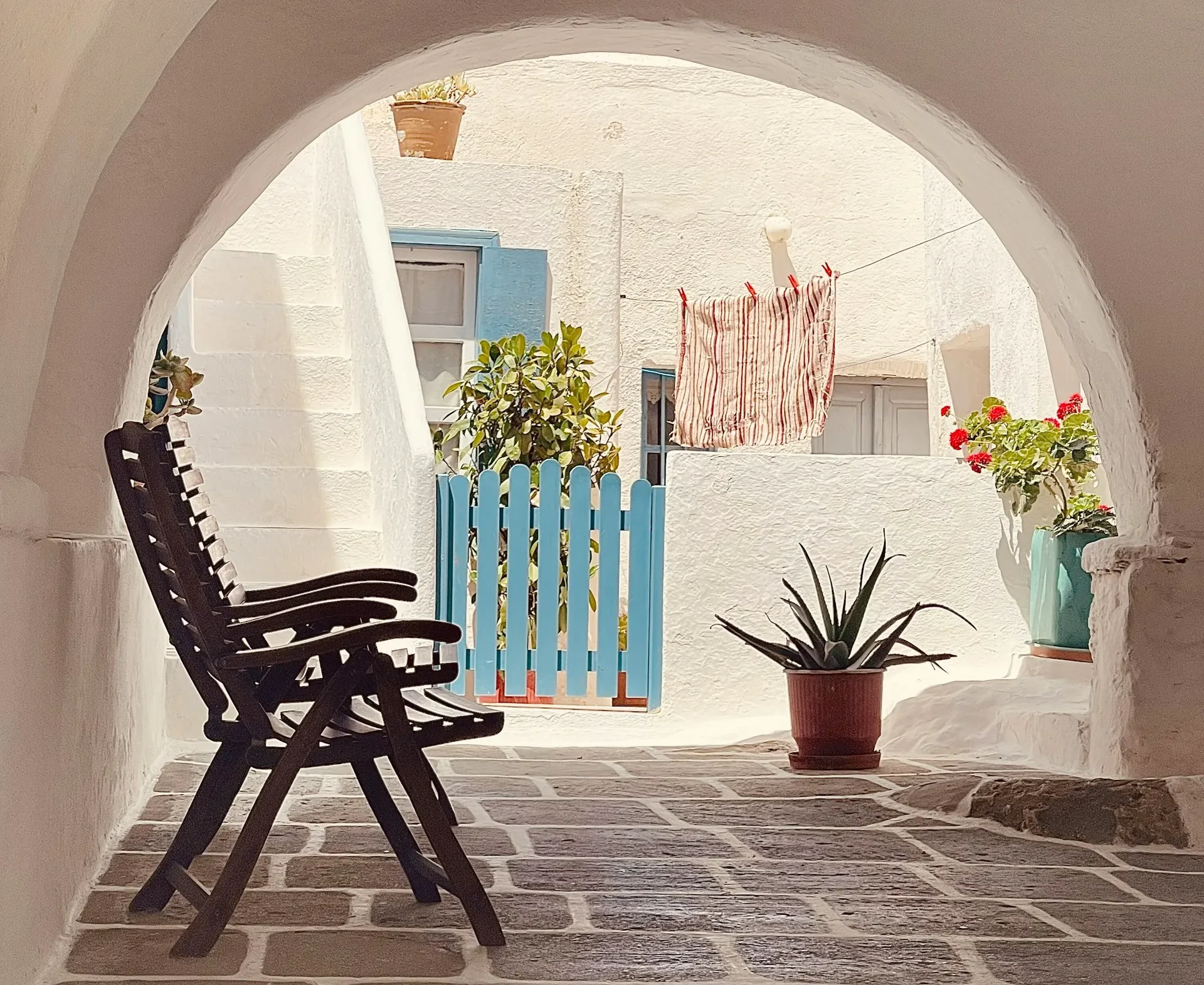 La batalla natural contra los insectos del verano